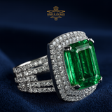 RN-011 Splendid Sparkle Silver 925 Ring