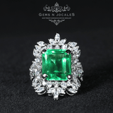 RN-071 Opulent Opus Silver 925 Ring