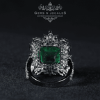 RN-071 Opulent Opus Silver 925 Ring